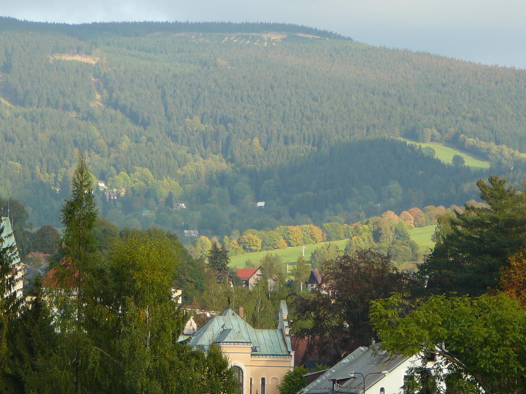 Апартаменти Hlava